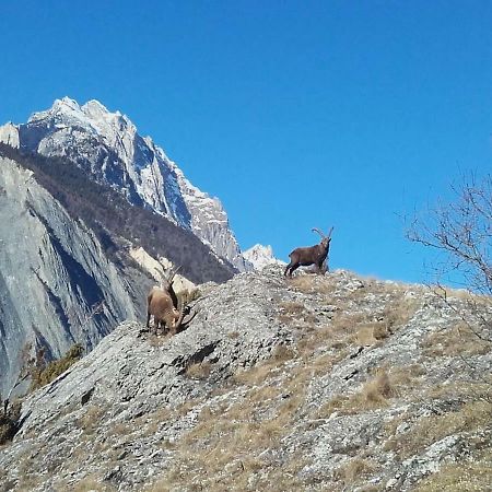 Location Vacances Saint Michel De Maurienne "Le Dahu" Apartment Ngoại thất bức ảnh